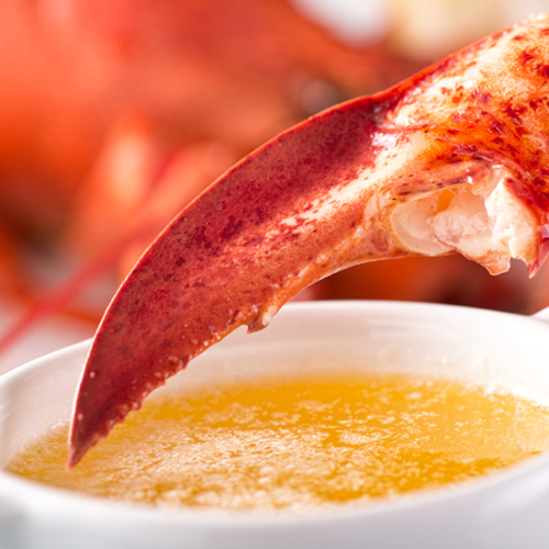 A lobster claw being dipped in Clarified Lemon Butter 