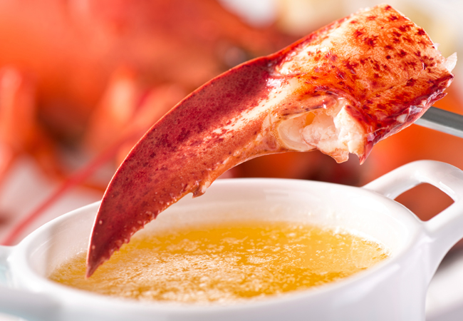 Lobster claw being dunked in clarified butter