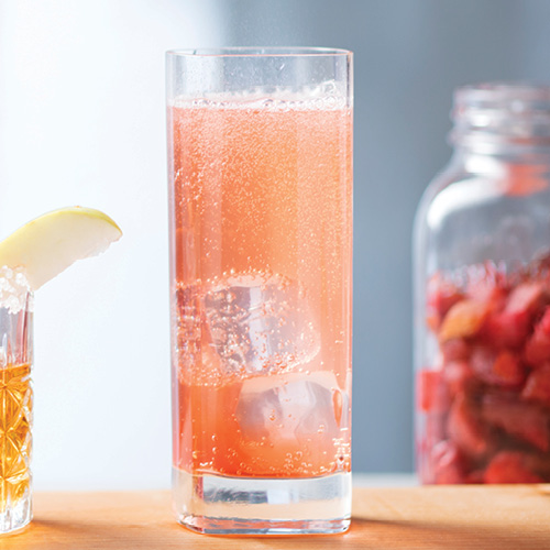 Rhubarb Soda Mocktail